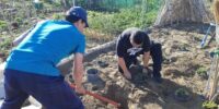 ΦΥΤΕΜΑ ΣΤΟΝ ΛΑΧΑΝΟΚΗΠΟ 10-5-21 ΦΥΤΕΜΑ ΣΤΟΝ ΛΑΧΑΝΟΚΗΠΟ 10-5-21