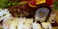 ΑΝΑΜΜΑ ΔΕΝΤΡΟΥ 12-12-21 ΑΝΑΜΜΑ ΔΕΝΤΡΟΥ 12-12-21