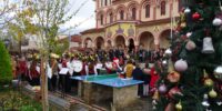 ΑΝΑΜΜΑ ΔΕΝΤΡΟΥ ΝΑΟΥ 11-12-22 ΑΝΑΜΜΑ ΔΕΝΤΡΟΥ ΝΑΟΥ 11-12-22