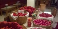37.2017.Ι.Ν.ΜΕΓΑΛΟΜ.ΑΓ.ΓΕΩΡΓΙΟΥ ΛΑΡΙΣΗΣ ΧΡΙΣΤΟΣ ΑΝΕΣΤΗ 37.2017.Ι.Ν.ΜΕΓΑΛΟΜ.ΑΓ.ΓΕΩΡΓΙΟΥ ΛΑΡΙΣΗΣ "ΧΡΙΣΤΟΣ ΑΝΕΣΤΗ"