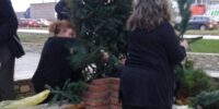 5β. 2015. ΣΤΟΛΙΣΜΟΣ ΔΕΝΔΡΟΥ ΧΡΙΣΤΟΥΓΕΝΝΩΝ 5β. 2015. ΣΤΟΛΙΣΜΟΣ ΔΕΝΔΡΟΥ ΧΡΙΣΤΟΥΓΕΝΝΩΝ